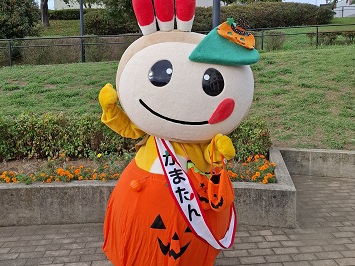 ハロウィンのパンプキン衣装を着たかまたんの写真
