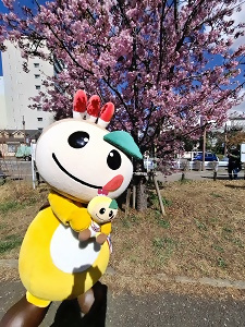 かまたんがぬいぐるみかまたんをだっこする写真