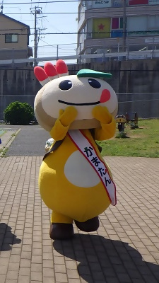 公園を歩くかまたんの写真