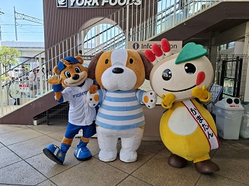 カビー、ふくちゃん、かまたんの写真