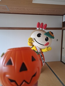 ハロウィンのパンプキンとかまたんの写真
