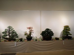 盆栽展の写真
