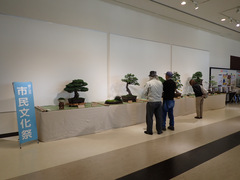 盆栽展の写真