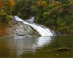 粟又の滝の写真
