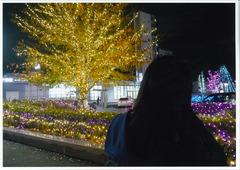新鎌ケ谷駅前のイルミネーションの写真