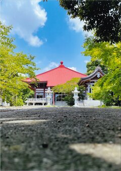 寶珠山蓮照寺の写真
