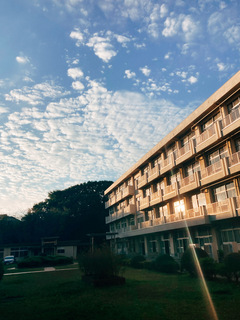 夕方の日差しと高校の校舎の写真