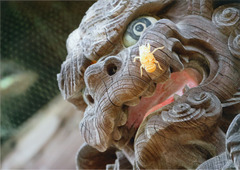 動物の像にセミの抜け殻がくっついている写真