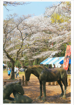 貝柄山公園内の馬の銅像の写真