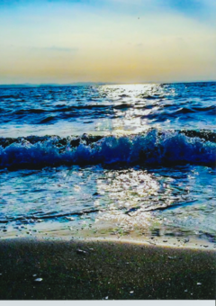 波の写真