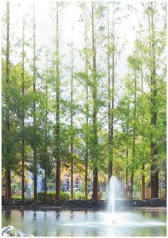 貝柄山公園の噴水の写真