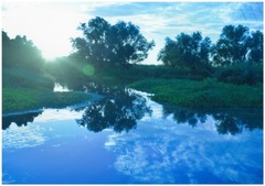 北柏ふるさと公園の池に映った空の写真