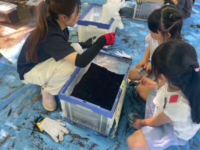 こどもたちがカブトムシを探す様子(写真)