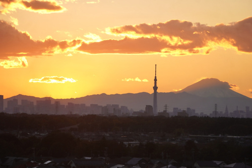 鎌ケ谷市役所屋上から撮影した風景でスカイツリーと富士山が美しく撮られている写真です。
