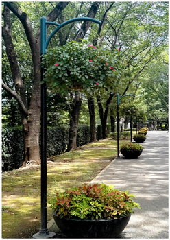 ふなばしアンデルセン公園で撮影された写真。爽やかな風が吹いています。