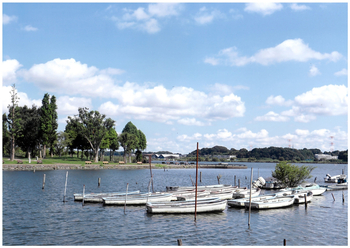 我孫子市の手賀沼公園で撮影された、空の青と手賀沼の青が綺麗な写真です。