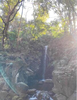 成田山公園内で撮影された白糸のように水が流れる雄飛の滝の様子です。