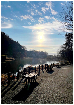 市川市のじゅん菜池緑地で撮影された太陽が反射しダイヤモンドの様に輝いている写真です。