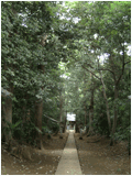 22．八幡･春日神社の森(クリックすると大きな写真がご覧いただけます）