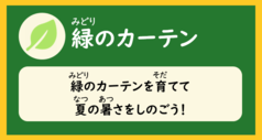 「緑のカーテン（緑のカーテンを育てて夏の暑さをしのごう）」と書かれた画像