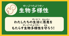 「生物多様性（私たちの生活に恩恵をもたらす生物多様性を守ろう）」と書かれた画像