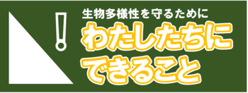 地球温暖化防止のためにわたしたちにできること