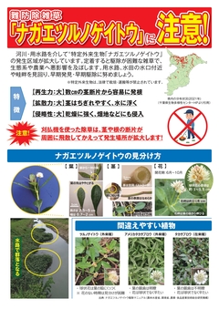 ナガエツルノゲイトウの注意啓発ポスター(表)