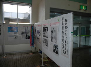 2008年非核平和事業サダコと折り鶴ポスター展の様子