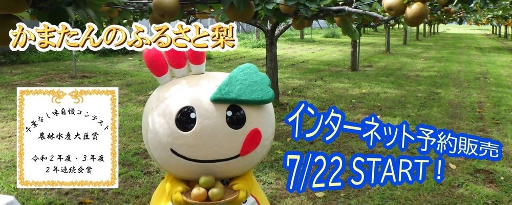 「かまたんのふるさと梨　インターネット予約販売7月22日から開始」という言葉と、梨畑にかまたんがいる写真