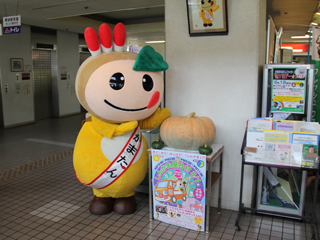 かぼたん!
