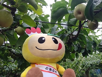 かまたんアート梨とかまたんのぬいぐるみの写真