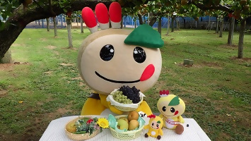 梨園でぶどうを手にもつかまたんの写真