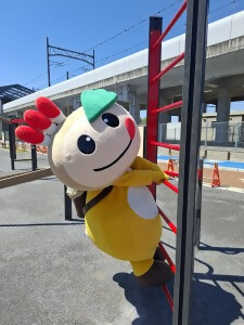 遊具のはしごに登るかまたんの写真