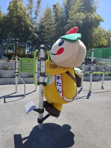 遊具によじ登るかまたんの写真