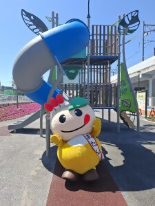 すべり台を滑ってきた?かまたんの写真