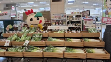お野菜とかまたんの写真