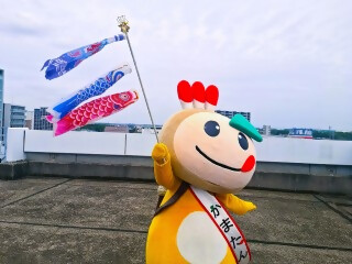 こいのぼりを持って走り回るかまたんの写真