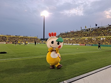 グラウンドでポーズをきめるかまたんの写真