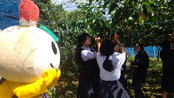 アート梨を制作する高校生たちと応援するかまたんの写真