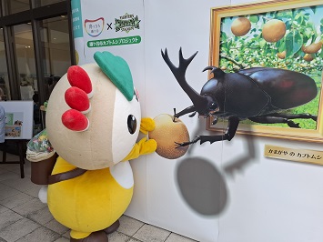 カブトムシのスリーディーアート前にいるかまたんの写真