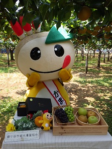 たくさんのフルーツとかまたんの写真