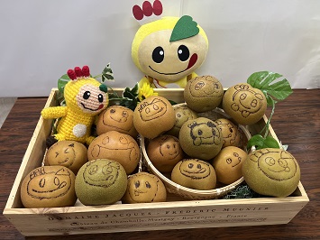 収穫された、いろんな表情の「かまたんアート梨」の写真