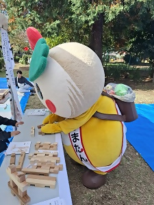 木のブロックで遊ぶかまたんの写真