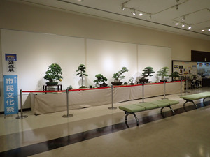 盆栽展の写真