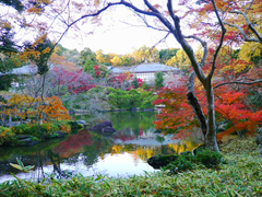 成田山公園の写真
