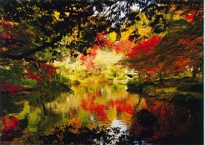 水辺で秋色に染まる木々の様子
