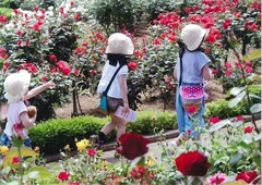花園の中を歩く幼児の写真