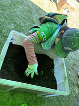 子どもがカブトムシを探している様子１