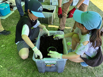 子どもがカブトムシを探している様子２