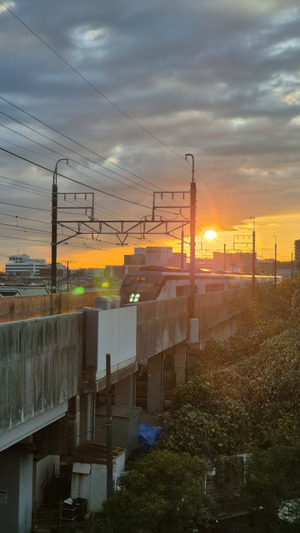 夕日を背に、高架鉄道を電車が駆け抜ける様子を撮影した写真